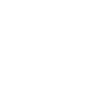 Bristol Museum